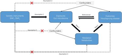 The mediating role of metabolites between gut microbiome and Hirschsprung disease: a bidirectional two-step Mendelian randomization study
